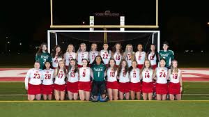 Image result for York University Hockey Club