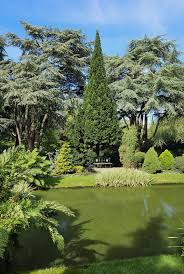 Image result for alba