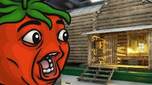 Afbeeldingsresultaat voor cabin tomato