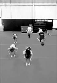 Image result for Wade Gymnastics Club