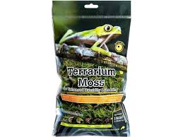 Attēlu rezultāti vaicājumam “Sphagnum”