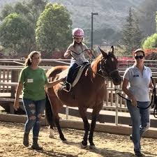 Image result for Shey Copse Riding Centre