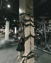 Image result for Lynx Gymnastics Club