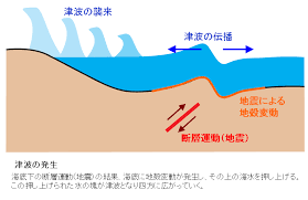 Image result for 高潮 津波 別物