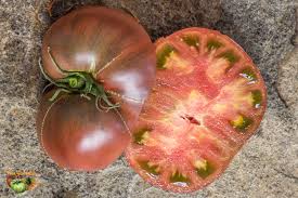Afbeeldingsresultaat voor dark purple beefsteak tomato