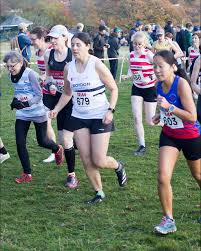 Image result for Croydon Harriers