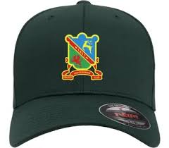 Image result for Ynysygerwn Cricket Club