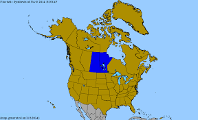 Attēlu rezultāti vaicājumam “Melilotus wolgicus”