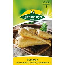 Image result for Pastinake