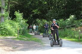 Image result for Go Ape! Dalby