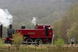 Image result for Belper Harriers