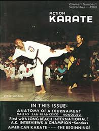 Image result for Action Karate