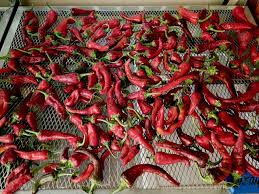 Afbeeldingsresultaat voor numex chimayo hot pepper