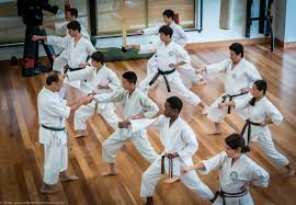 Image result for Shotokan Karate