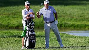 Image result for seppi tehron