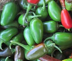 Afbeeldingsresultaat voor jalapeno early hot pepper