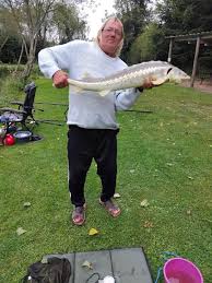 Image result for Acipenser desotoi