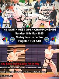 Image result for Torbay Taekwondo Schools