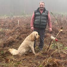 Image result for Philips Mk Badminton Club