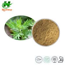 Attēlu rezultāti vaicājumam “Agrimonia pilosa”