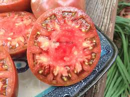 Afbeeldingsresultaat voor black oxheart tomato
