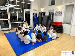 Image result for Aylesbury Vale Seido Karate