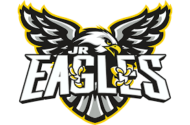 Image result for Junior Eagles Fc