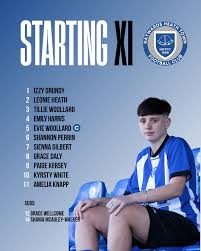 Image result for Haywards Heath Town Ladies Football Club