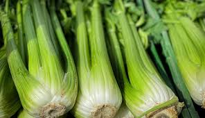 Image result for Sellerie