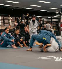 Image result for Melbourne Judo Club