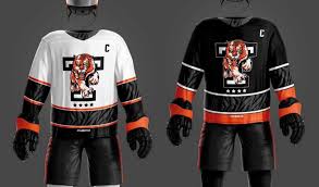 Image result for Telford Tigers