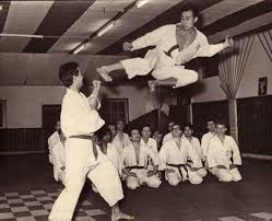 Image result for Dujon Tae Kwon Do