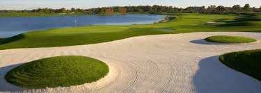 Image result for Falcon Sa Club