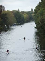 Image result for Weybridge Ladies Amateur Rowing Club