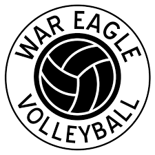 Image result for White Eagles Volleyball Club