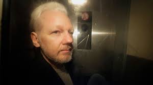 Image result for julian assange