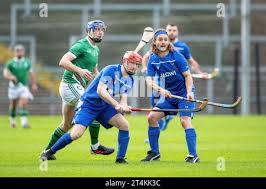 Image result for World of Shinty