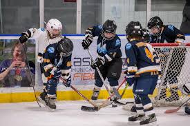 Image result for Ash Avalanche Skater Hockey Club