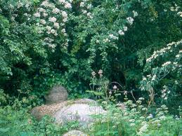 Image result for Priona Tuinen