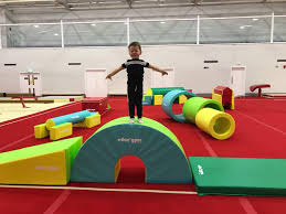 Image result for South Essex Gymnastics Club