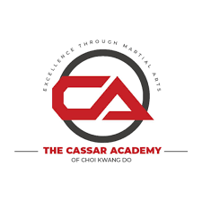 Image result for southern academy choi kwang do