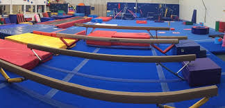 Image result for Fish trampoline and gymnastics club