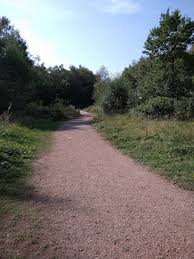 Image result for New Lount Bowling Club