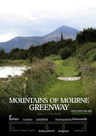 Image result for Ardglass Gfc