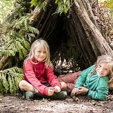 Image result for Cambrian Centre for Activity