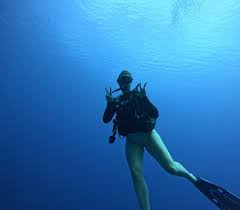 Image result for St. Albans Snorkelling Club (SASC)