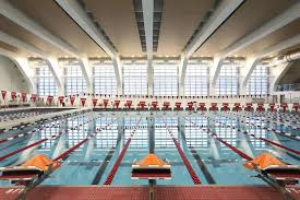 Image result for Worcester Swimming Club