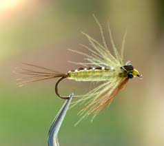 Attēlu rezultāti vaicājumam “nymph”