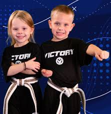 Image result for America's Best Karate Chandler