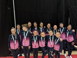 Image result for Spelthorne School Of Gymnastics